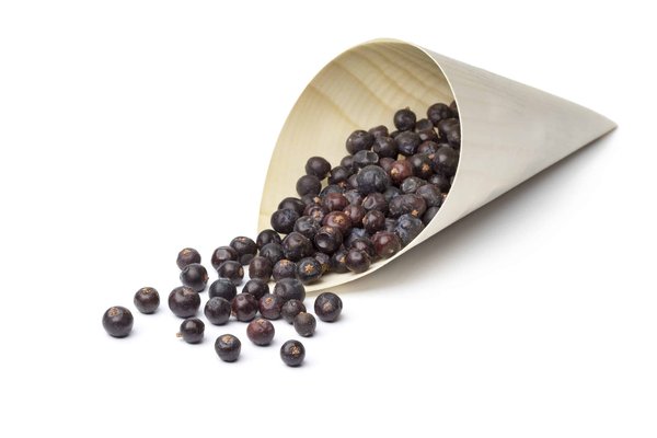 Comment choisir un sac porté épaule confortable et tendance pour les longues journées?